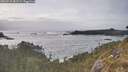 ./images/calvert/foggy-cove/20260510/foggy-cove20260510_181501M.jpg