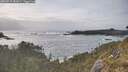 ./images/calvert/foggy-cove/20260510/foggy-cove20260510_182001M.jpg