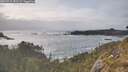 ./images/calvert/foggy-cove/20260510/foggy-cove20260510_182501M.jpg