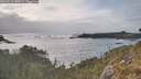 ./images/calvert/foggy-cove/20260510/foggy-cove20260510_183001M.jpg