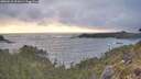 ./images/calvert/foggy-cove/20260510/foggy-cove20260510_201001M.jpg