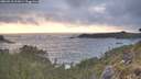 ./images/calvert/foggy-cove/20260510/foggy-cove20260510_202001M.jpg