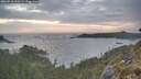 ./images/calvert/foggy-cove/20260510/foggy-cove20260510_210501M.jpg