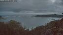 ./images/calvert/foggy-cove/20260511/foggy-cove20260511_051501M.jpg
