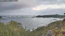 ./images/calvert/foggy-cove/20260511/foggy-cove20260511_055501M.jpg