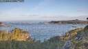 ./images/calvert/foggy-cove/20260511/foggy-cove20260511_071001M.jpg