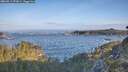 ./images/calvert/foggy-cove/20260511/foggy-cove20260511_072001M.jpg