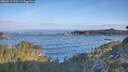 ./images/calvert/foggy-cove/20260511/foggy-cove20260511_072501M.jpg