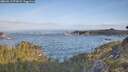 ./images/calvert/foggy-cove/20260511/foggy-cove20260511_073001M.jpg
