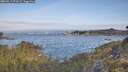./images/calvert/foggy-cove/20260511/foggy-cove20260511_073501M.jpg