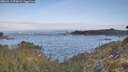./images/calvert/foggy-cove/20260511/foggy-cove20260511_074001M.jpg