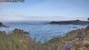 ./images/calvert/foggy-cove/20260511/foggy-cove20260511_074501M.jpg