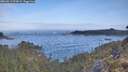 ./images/calvert/foggy-cove/20260511/foggy-cove20260511_075001M.jpg