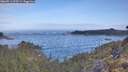 ./images/calvert/foggy-cove/20260511/foggy-cove20260511_075501M.jpg