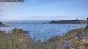 ./images/calvert/foggy-cove/20260511/foggy-cove20260511_080001M.jpg