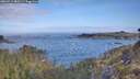 ./images/calvert/foggy-cove/20260511/foggy-cove20260511_080501M.jpg