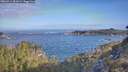 ./images/calvert/foggy-cove/20260511/foggy-cove20260511_081002M.jpg
