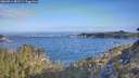 ./images/calvert/foggy-cove/20260511/foggy-cove20260511_081501M.jpg