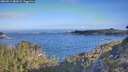 ./images/calvert/foggy-cove/20260511/foggy-cove20260511_082001M.jpg