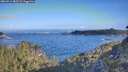 ./images/calvert/foggy-cove/20260511/foggy-cove20260511_082501M.jpg