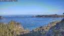 ./images/calvert/foggy-cove/20260511/foggy-cove20260511_083001M.jpg