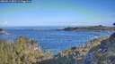 ./images/calvert/foggy-cove/20260511/foggy-cove20260511_083501M.jpg