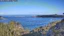./images/calvert/foggy-cove/20260511/foggy-cove20260511_084001M.jpg
