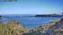 ./images/calvert/foggy-cove/20260511/foggy-cove20260511_084501M.jpg