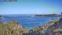 ./images/calvert/foggy-cove/20260511/foggy-cove20260511_085001M.jpg