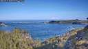 ./images/calvert/foggy-cove/20260511/foggy-cove20260511_085501M.jpg