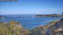 ./images/calvert/foggy-cove/20260511/foggy-cove20260511_090501M.jpg