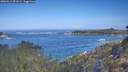 ./images/calvert/foggy-cove/20260511/foggy-cove20260511_091001M.jpg