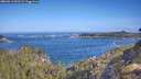 ./images/calvert/foggy-cove/20260511/foggy-cove20260511_091501M.jpg