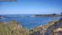 ./images/calvert/foggy-cove/20260511/foggy-cove20260511_092001M.jpg