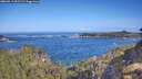 ./images/calvert/foggy-cove/20260511/foggy-cove20260511_092501M.jpg