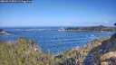 ./images/calvert/foggy-cove/20260511/foggy-cove20260511_093501M.jpg