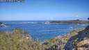 ./images/calvert/foggy-cove/20260511/foggy-cove20260511_094502M.jpg