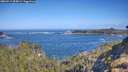 ./images/calvert/foggy-cove/20260511/foggy-cove20260511_095001M.jpg