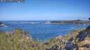 ./images/calvert/foggy-cove/20260511/foggy-cove20260511_095501M.jpg