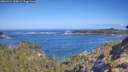./images/calvert/foggy-cove/20260511/foggy-cove20260511_100002M.jpg