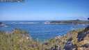 ./images/calvert/foggy-cove/20260511/foggy-cove20260511_100501M.jpg