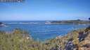 ./images/calvert/foggy-cove/20260511/foggy-cove20260511_101502M.jpg