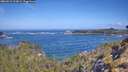 ./images/calvert/foggy-cove/20260511/foggy-cove20260511_102001M.jpg