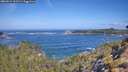 ./images/calvert/foggy-cove/20260511/foggy-cove20260511_102502M.jpg