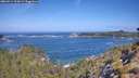 ./images/calvert/foggy-cove/20260511/foggy-cove20260511_103001M.jpg