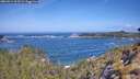 ./images/calvert/foggy-cove/20260511/foggy-cove20260511_103502M.jpg