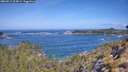 ./images/calvert/foggy-cove/20260511/foggy-cove20260511_104001M.jpg