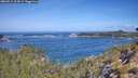 ./images/calvert/foggy-cove/20260511/foggy-cove20260511_104501M.jpg