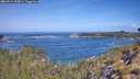./images/calvert/foggy-cove/20260511/foggy-cove20260511_105001M.jpg