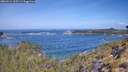 ./images/calvert/foggy-cove/20260511/foggy-cove20260511_105501M.jpg